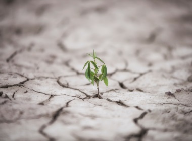 Dicas para aumentar a resiliência